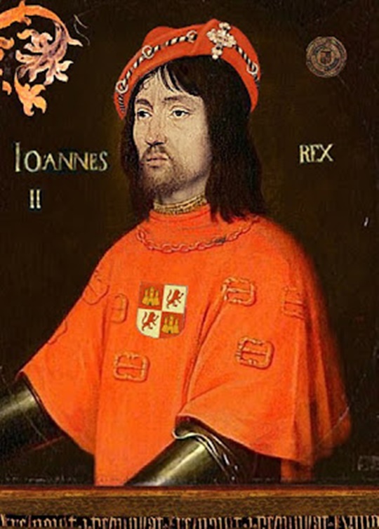 Ante la imposibilidad de eliminar políticamente al valido Álvaro de Luna se difamó al rey Juan II argumentando que el favor del rey era muestra de su homosexualidad