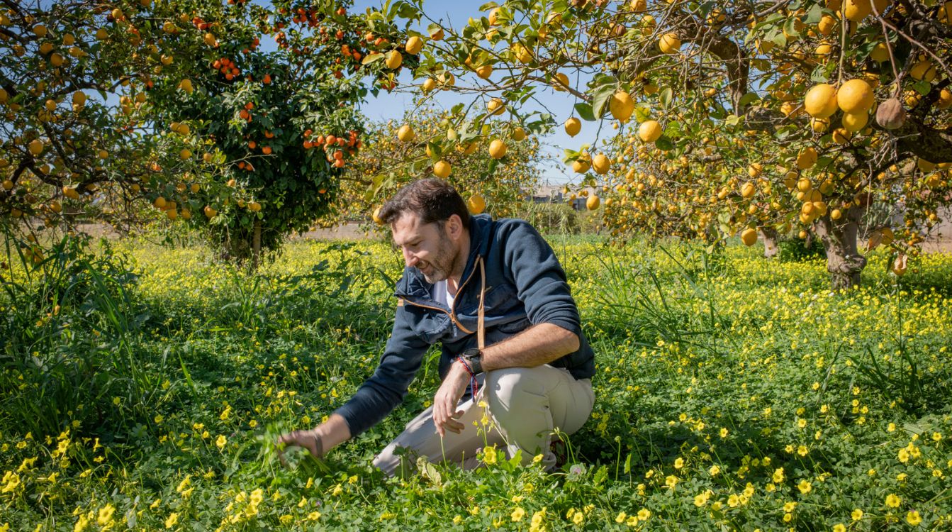 El chef murcino, David López, ofrecerá a los asistentes a la Gala Premios Soles Repsol 2024 un menú de quince bocados vegetales