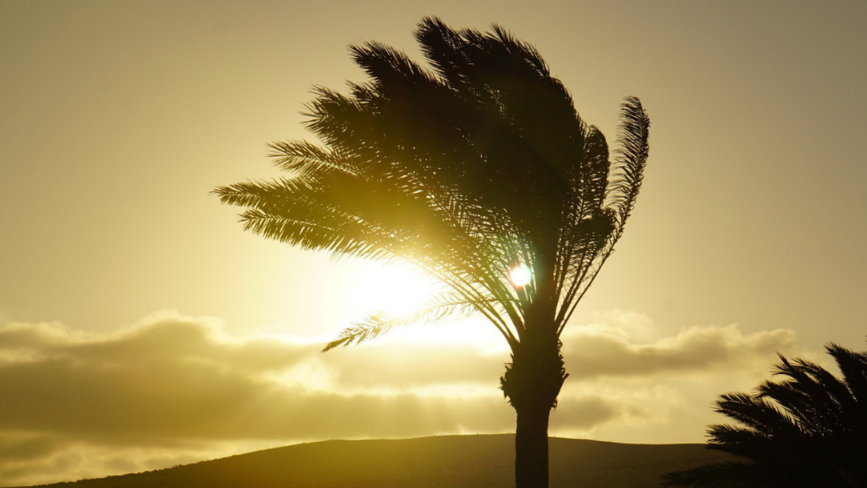 El viento seguirá azotando parte de nuestro país. Archivo