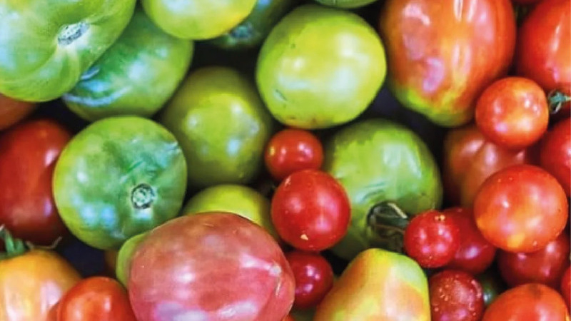 Tomates de La Huerta de Carabaña