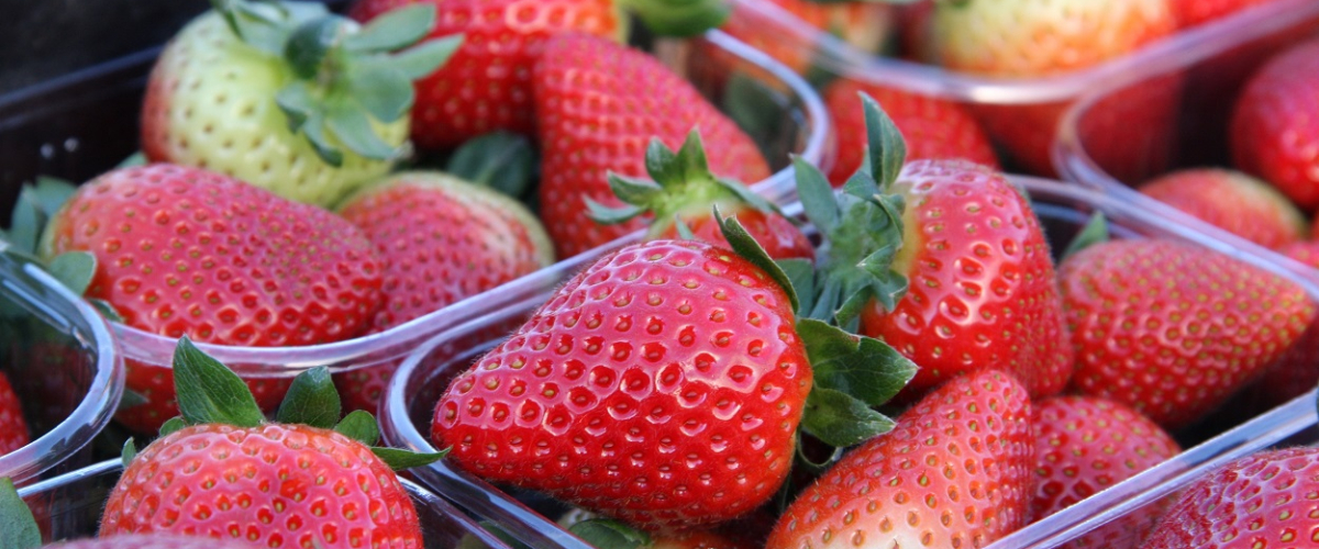 Alerta sanitaria por la presencia de Hepatitis A en fresas procedentes
