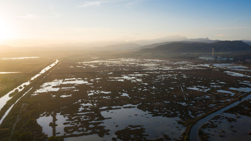 Parque Natural de s'Albufera de Mallorca, cercano al pueblo amurallado de Alcúdia.