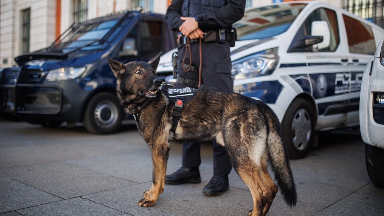 Imagen de recurso de un agente de la Policía Nacional y un perro policía. EP/Archivo.