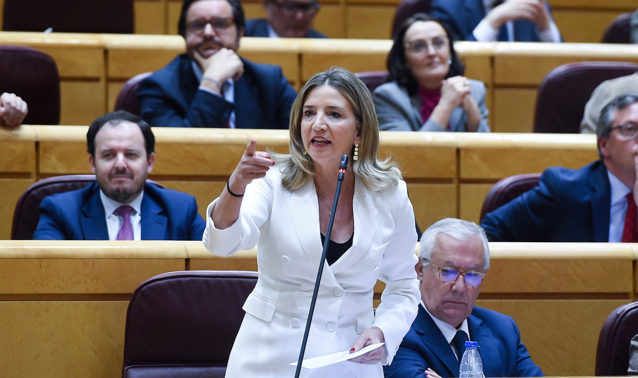 Alicia García en el Senado. EP
