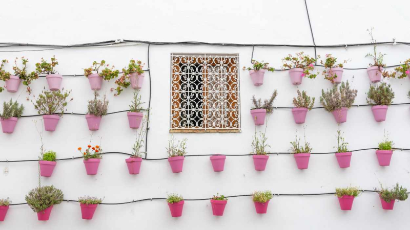 Calles repletas de macetas con flores en Vejer de la Frontera, Cádiz. 