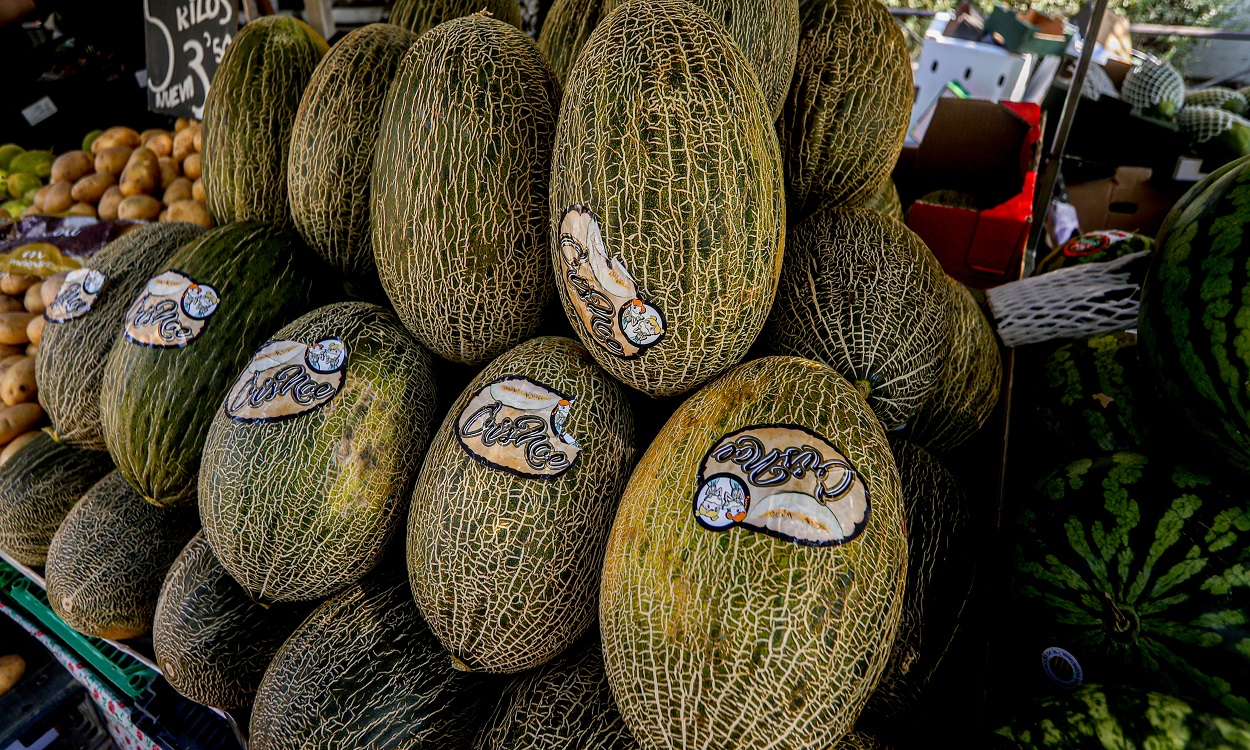 Alerta sanitaria por melones de Marruecos contaminados. EP