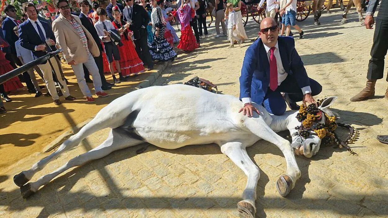 La yegua muerta este domingo en la Feria de Sevilla, junto a su propietario. X