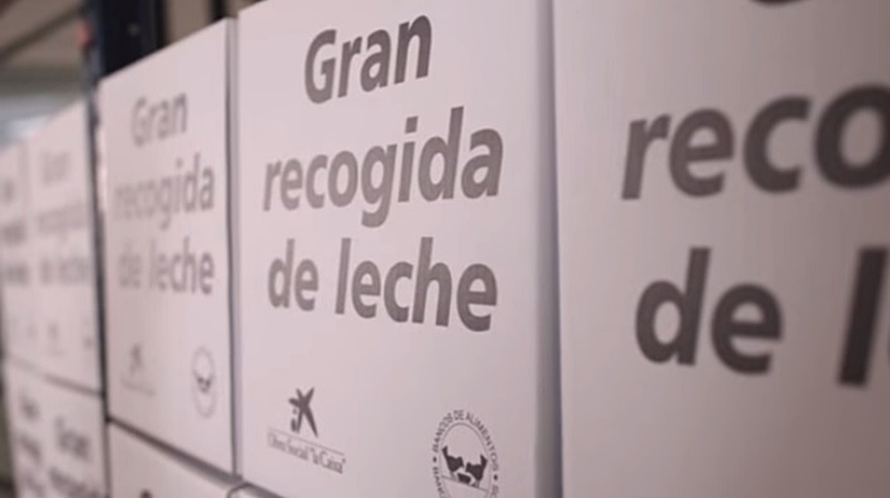 Revitalizan la campaña para recoger leche con destino a niños en situación de pobreza en España