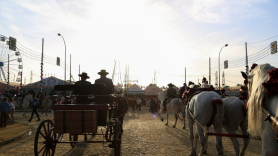 Imagen de una calesa en Sevilla. Tamara Rozas