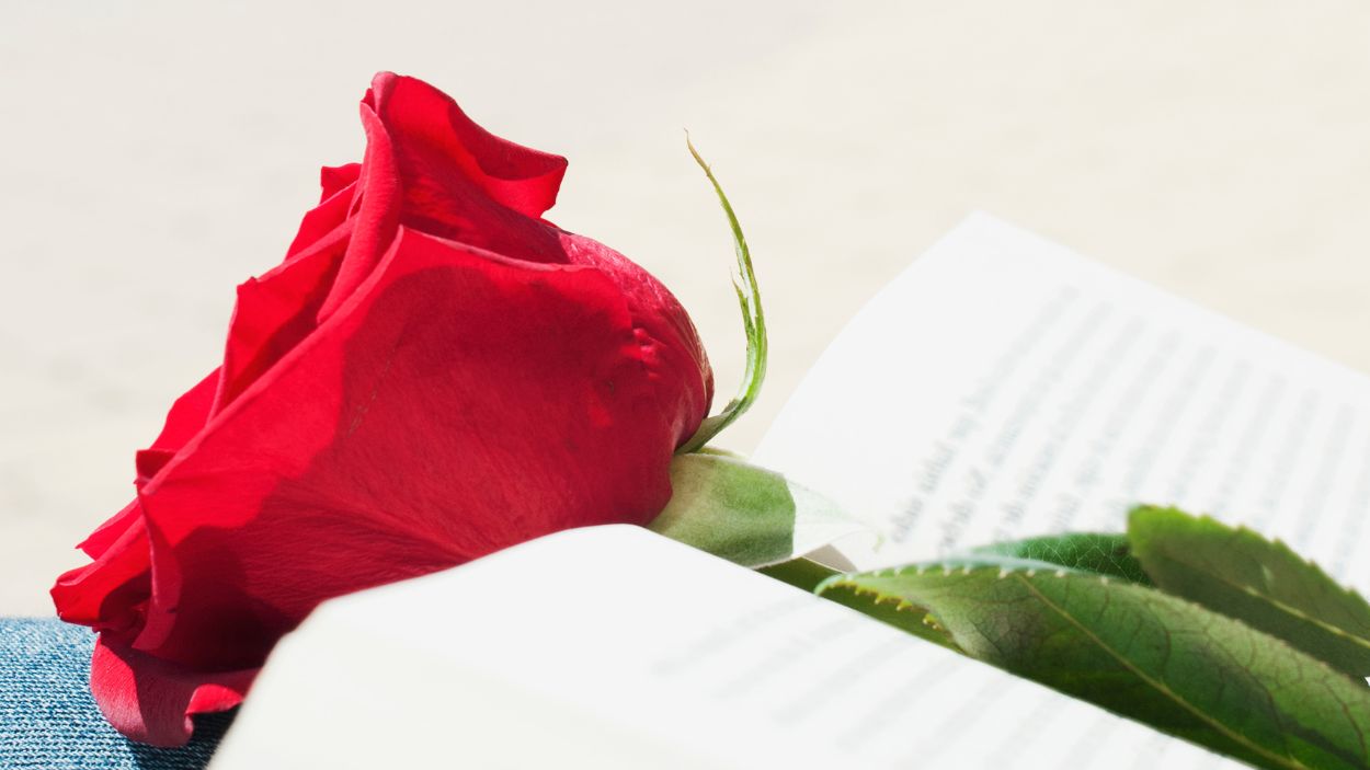 El Día de Sant Jordi se celebra en Barcelona de una manera muy especial, regalando libros y rosas