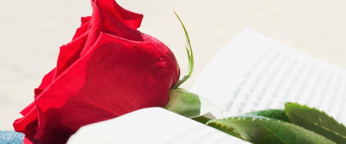 ¿Por qué se regalan rosas y libros por Sant Jordi?