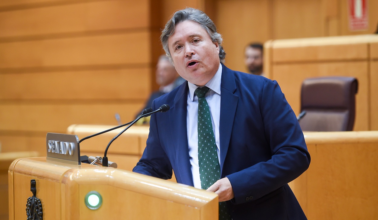 Luis Santamaría en el Senado. EP