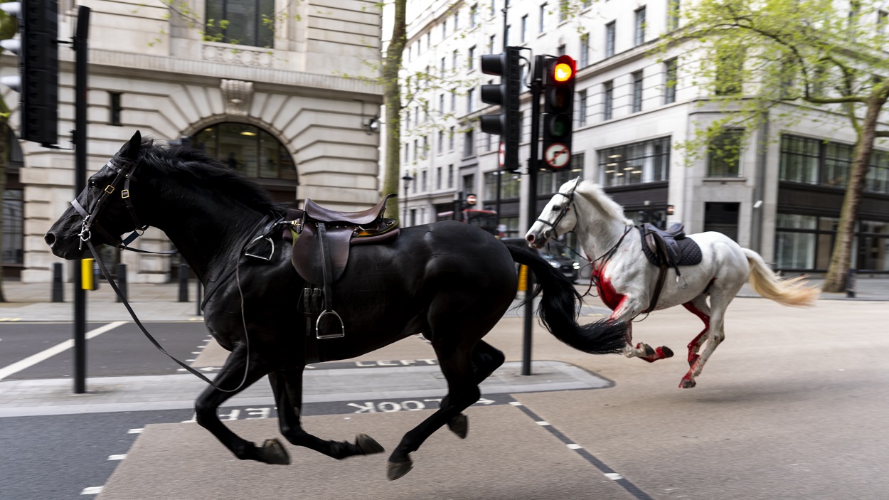 Incidente con caballos en Londres. EP