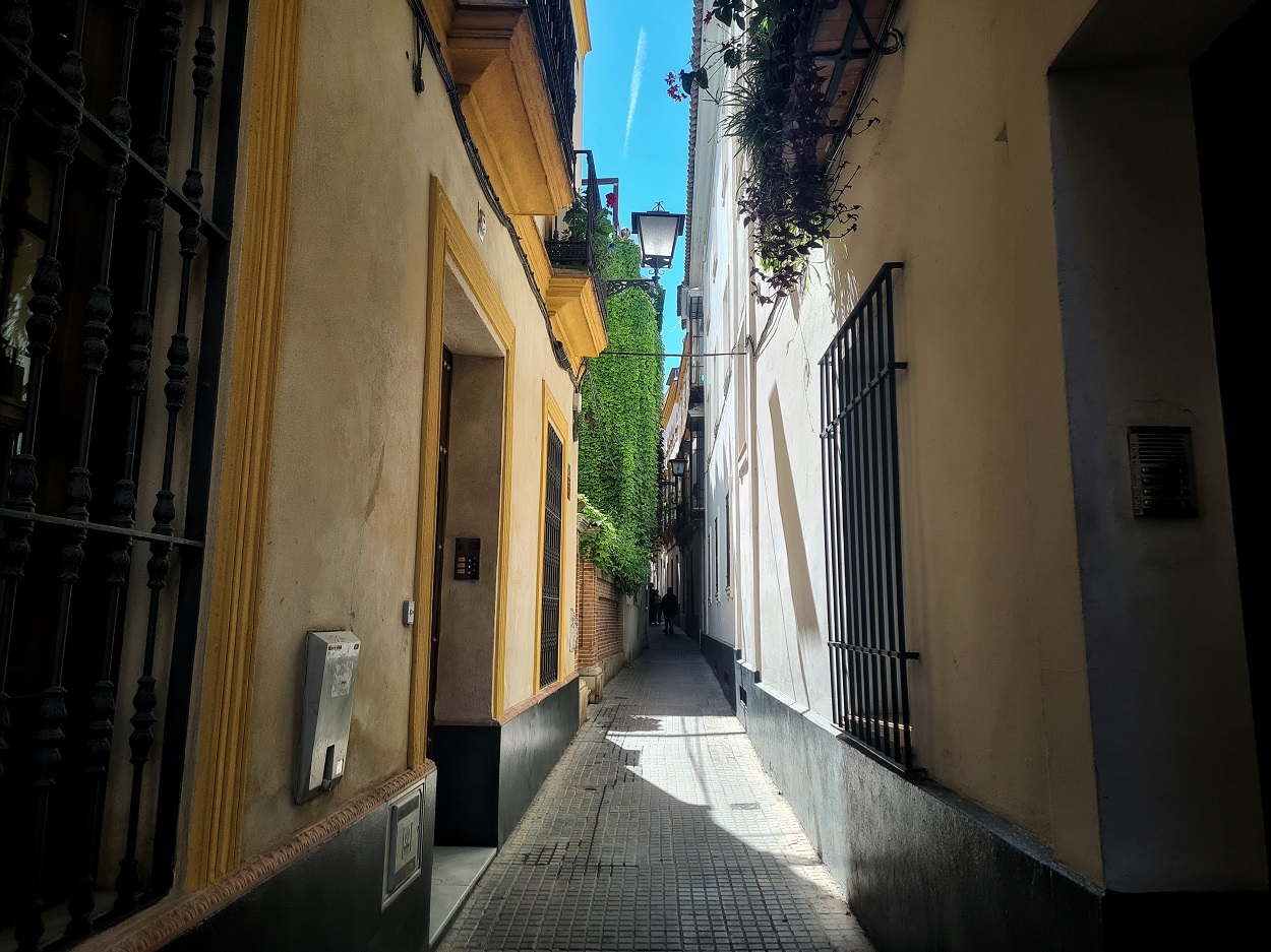 SEVILLA, 26.04.2024. Pisos de alquiler turístico en el Casco Histórico de Sevilla. FOTO: Tamara Rozas. El Plural