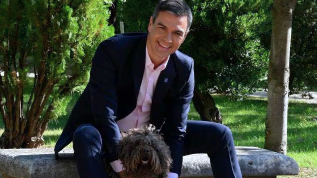 Pedro Sánchez y sus perros. Redes sociales.