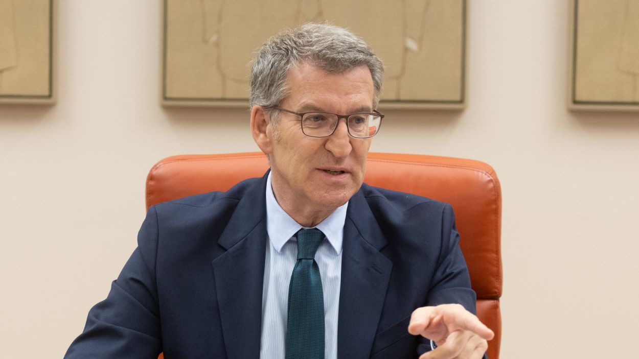 El presidente del PP, Alberto Núñez Feijóo, en el Congreso de los Diputados. EP.