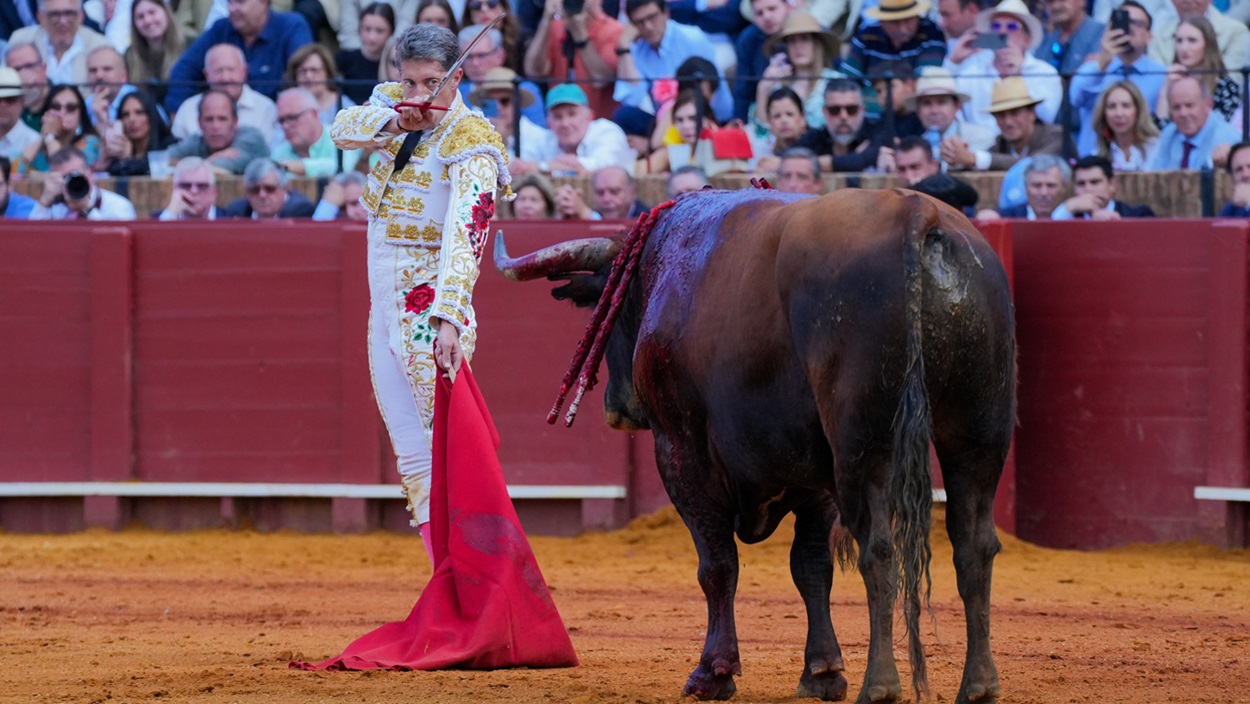 Imagen de recurso de un torero y un toro. Archivo/EP.