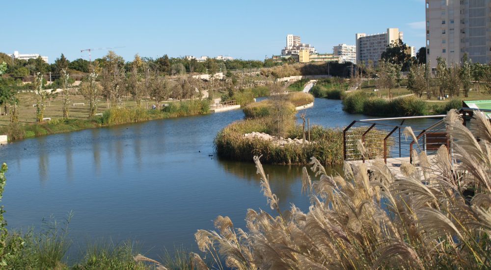 Parque La Marjal, en Alicante, caracterizado por albergar una gran biodiversidad