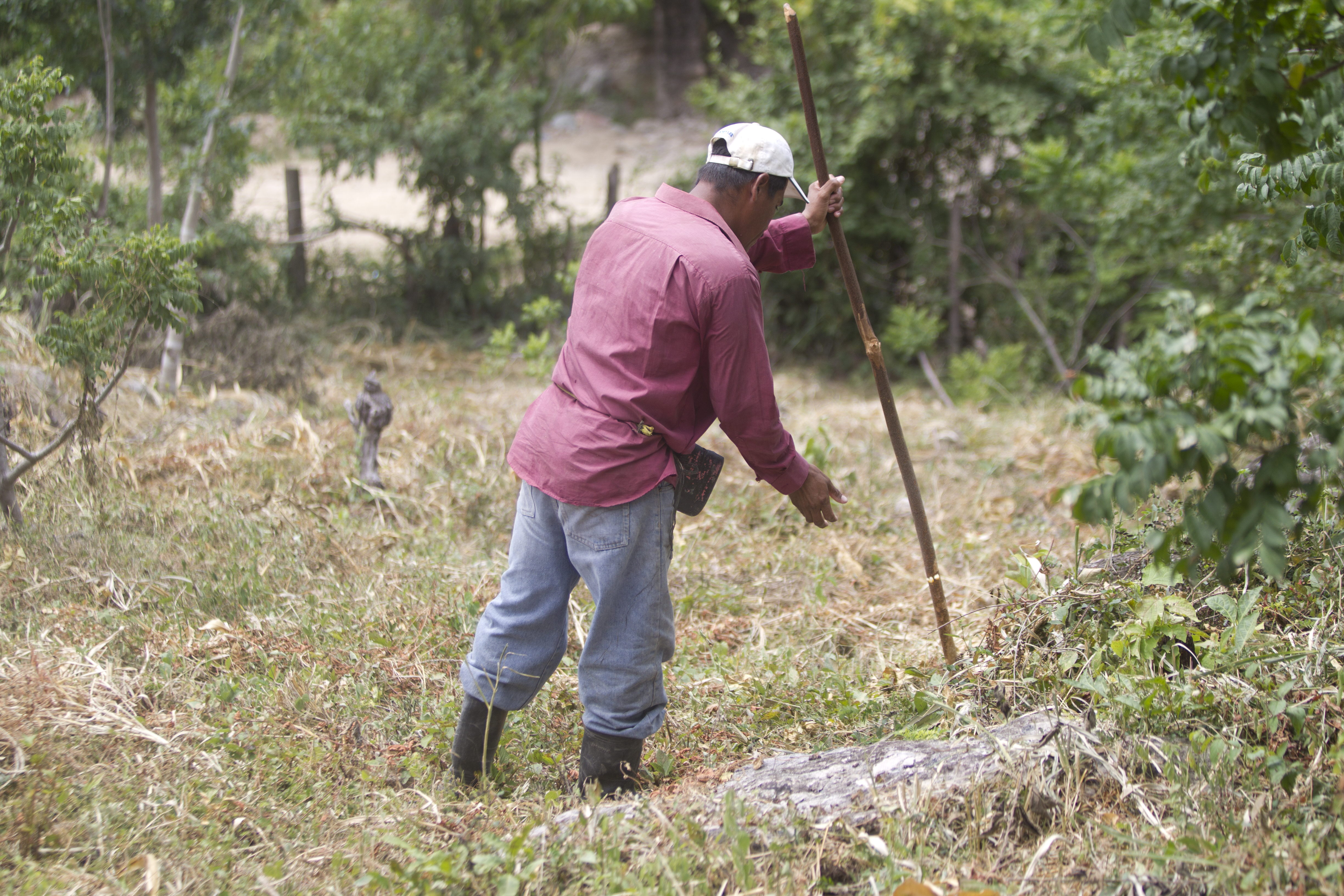Un agricultor de Honduras, país víctima de la sequía. 
