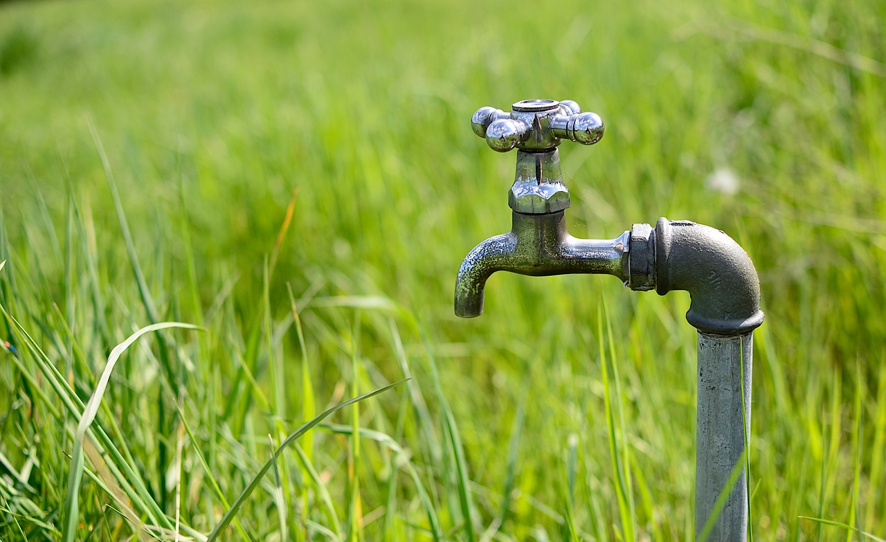 Lo que el PP obvia: “Sin agua nuestros pueblos están condenados a la despoblación”. Pixabay.