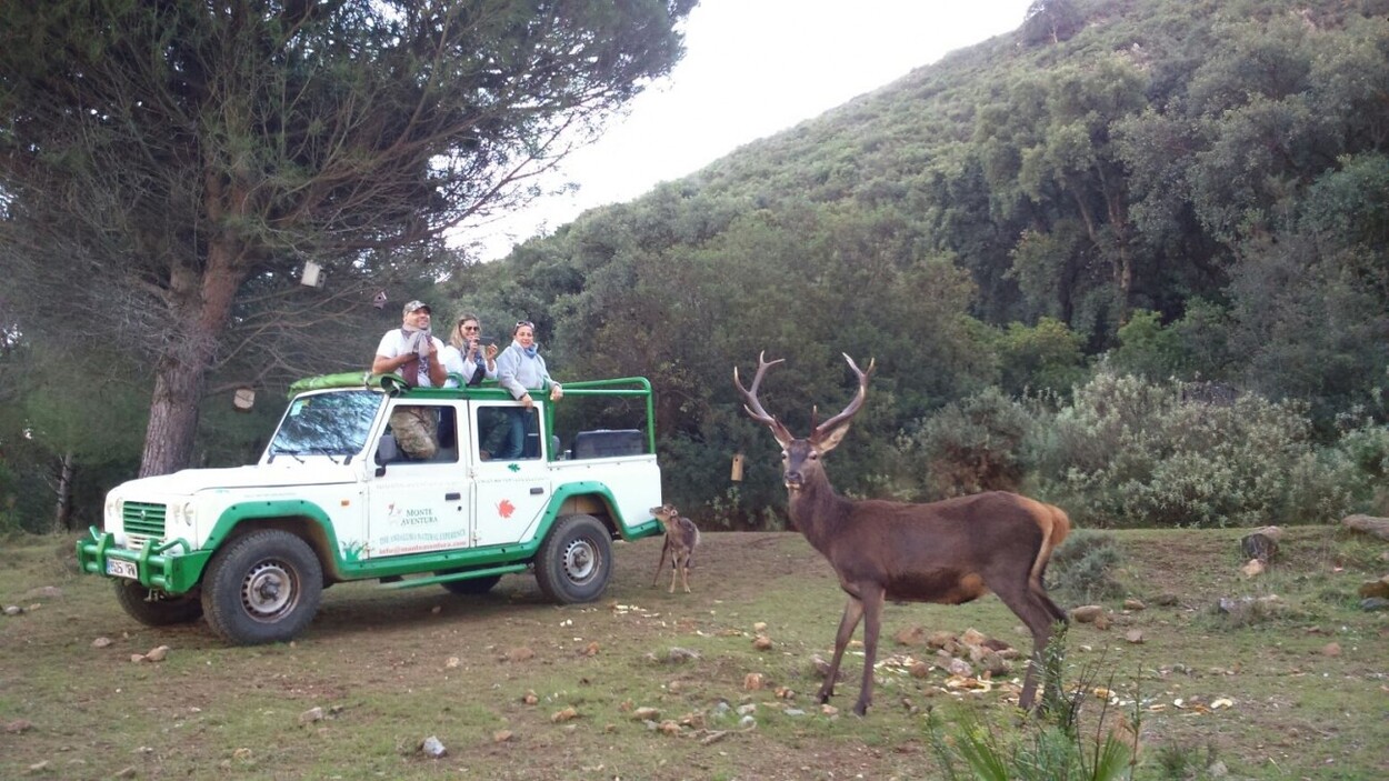 Polémica en Andalucía tras el cierre de la reserva de Ojén: “Los animales llevan sin comer desde el viernes”. Eco Reserva de Ojén