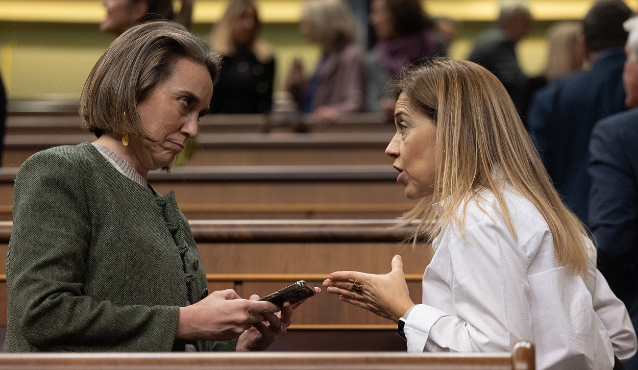 El PP vota en contra de la propuesta contra el proxenetismo. EP