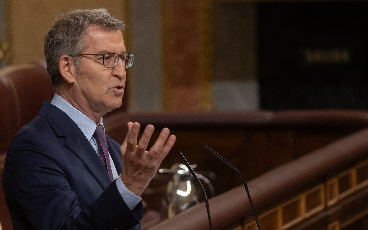 El presidente del PP, Alberto Núñez Feijóo, en el Congreso de los Diputados. EP