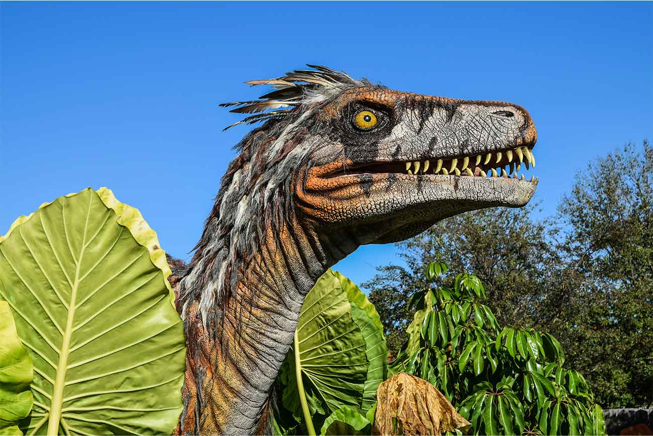 Un dinosaurio con plumas descubierto aclara cómo mudaron su piel a escamas