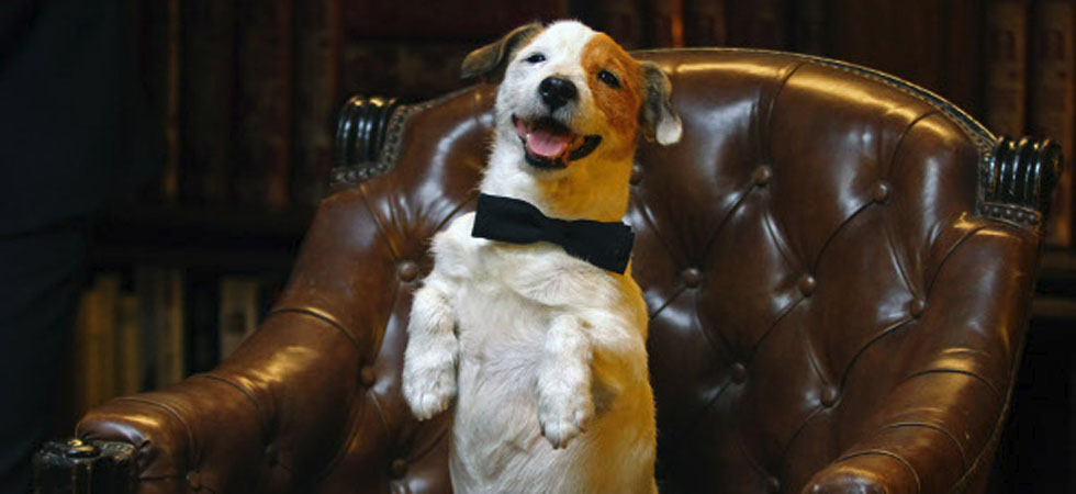 El perro 'Cook', más conocido como 'Pancho', durante una de sus famosas campañas publicitarias