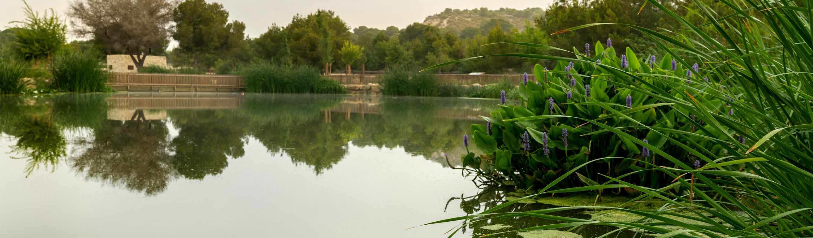 Parque El Recorral, en Rojales (Alicante)