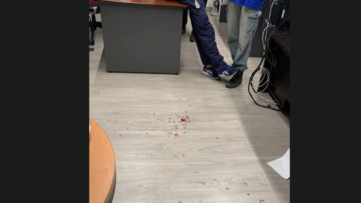 Desalojo en la Universidad de Sevilla de los manifestantes contra Israel Desalojo en la Universidad de Sevilla de los manifestantes contra Israel