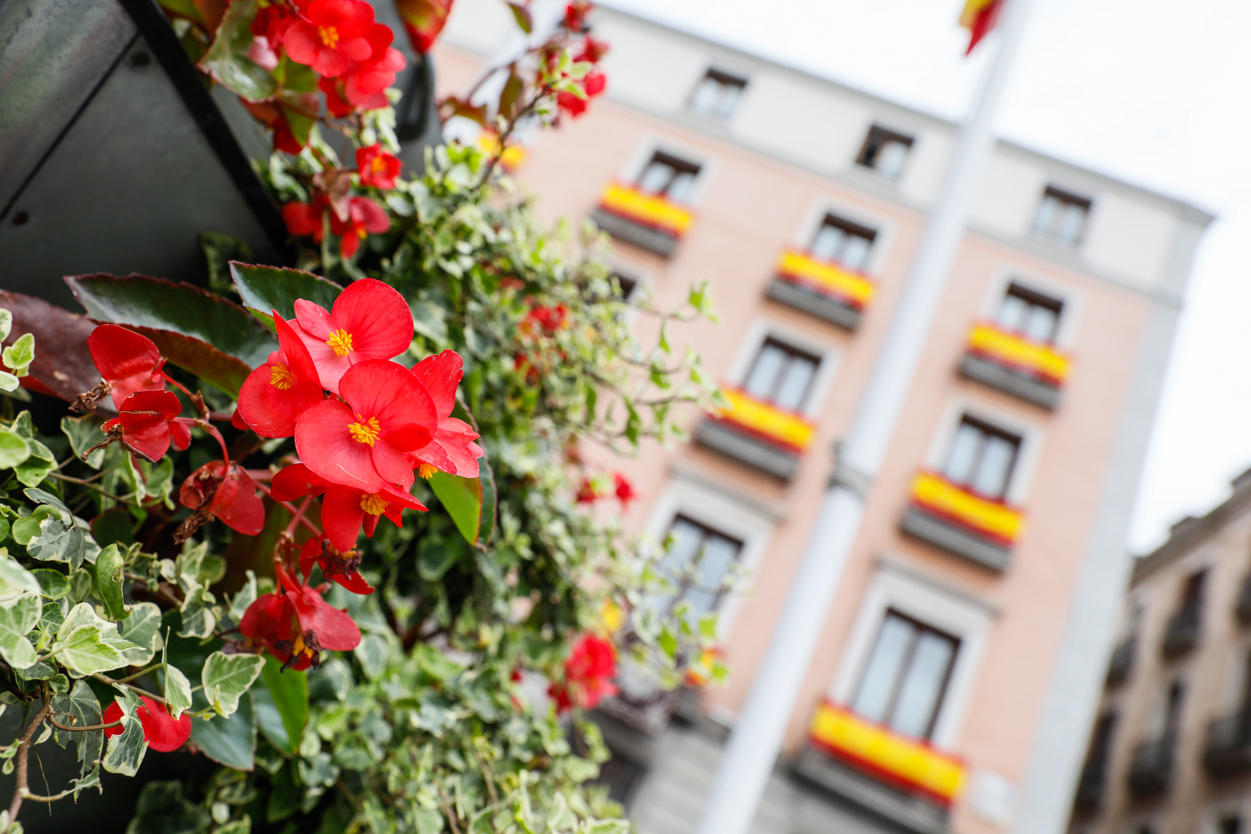 Las banderas de España lucen en todos los balcones de las dependencias municipales. MADRID Las banderas de España lucen en todos los balcones de las dependencias municipales. MADRID