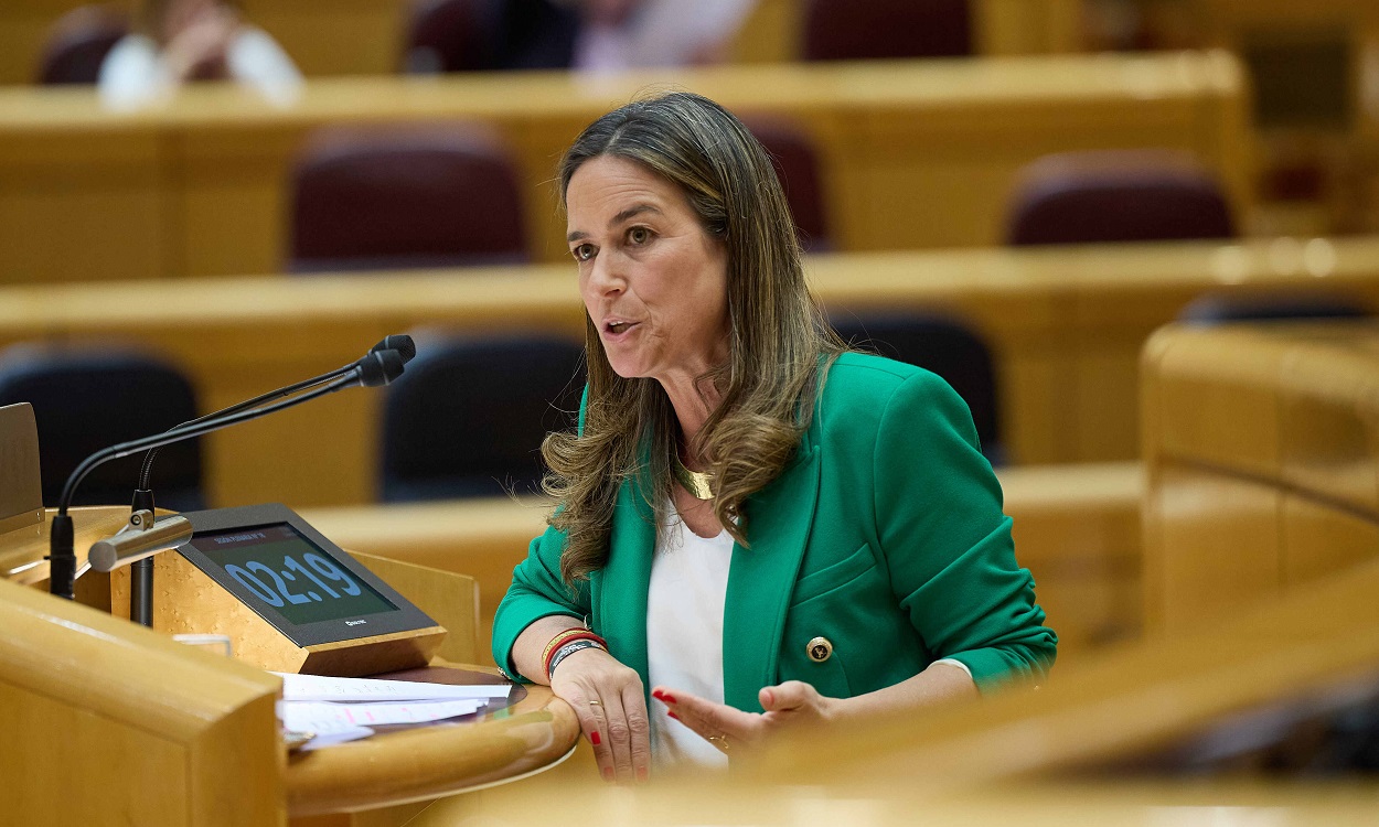 La senadora María José Pardo (PP) en una intervención. EP