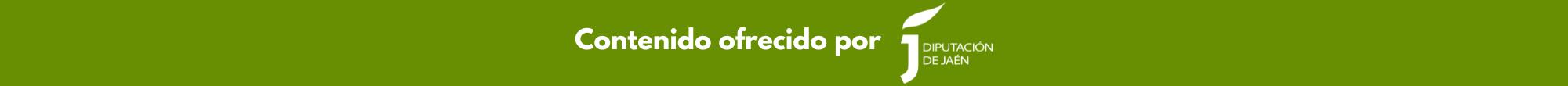 Cabecera BC Diputación de Jaén (1)