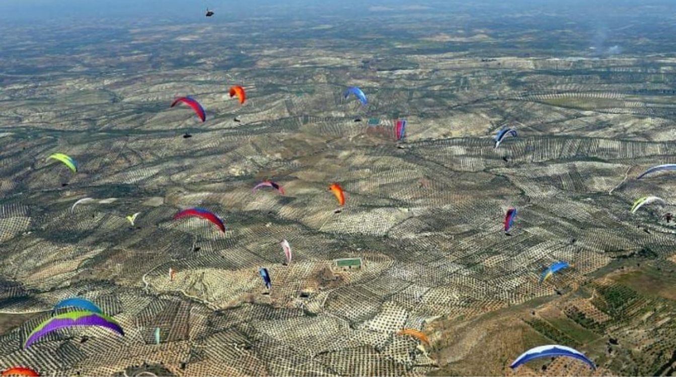 Parapentes sobrevolando los olivares de Jaén Parapentes sobrevolando los olivares de Jaén