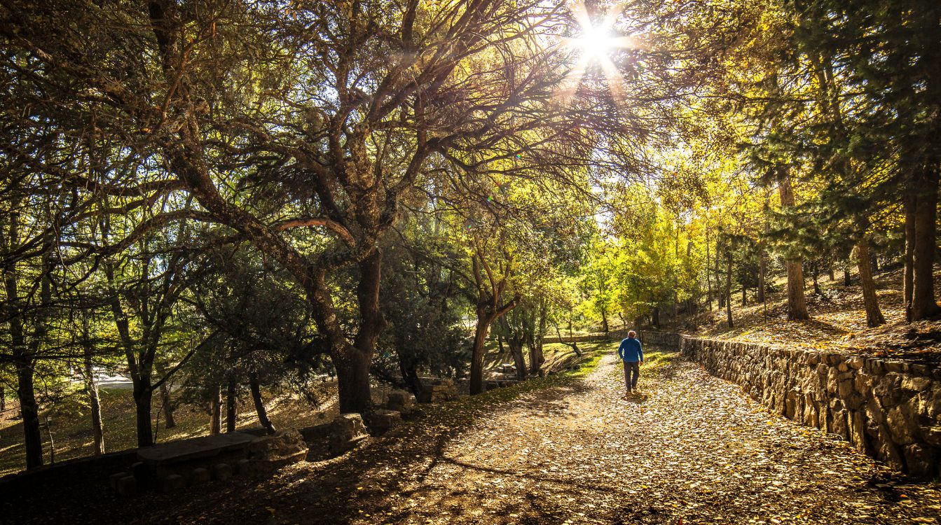 Parque Natural de Sierra Mágina