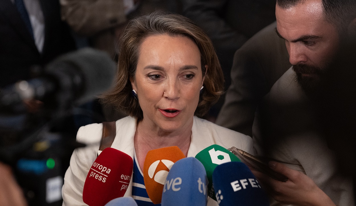 El PP estalla contra el Tribunal Constitucional. EP