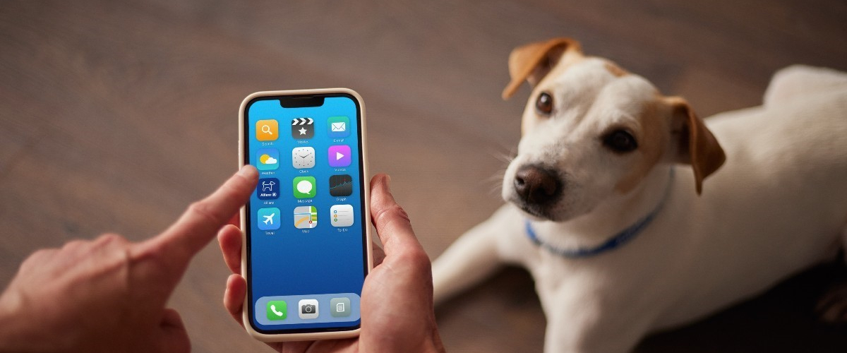 Seguro para perros Allianz