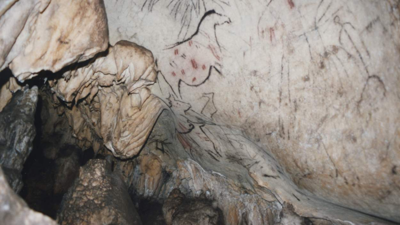 Pinturas rupestres descubiertas en el interior de la Cueva de la Pileta. Diputación de Málaga Pinturas rupestres descubiertas en el interior de la Cueva de la Pileta. Diputación de Málaga