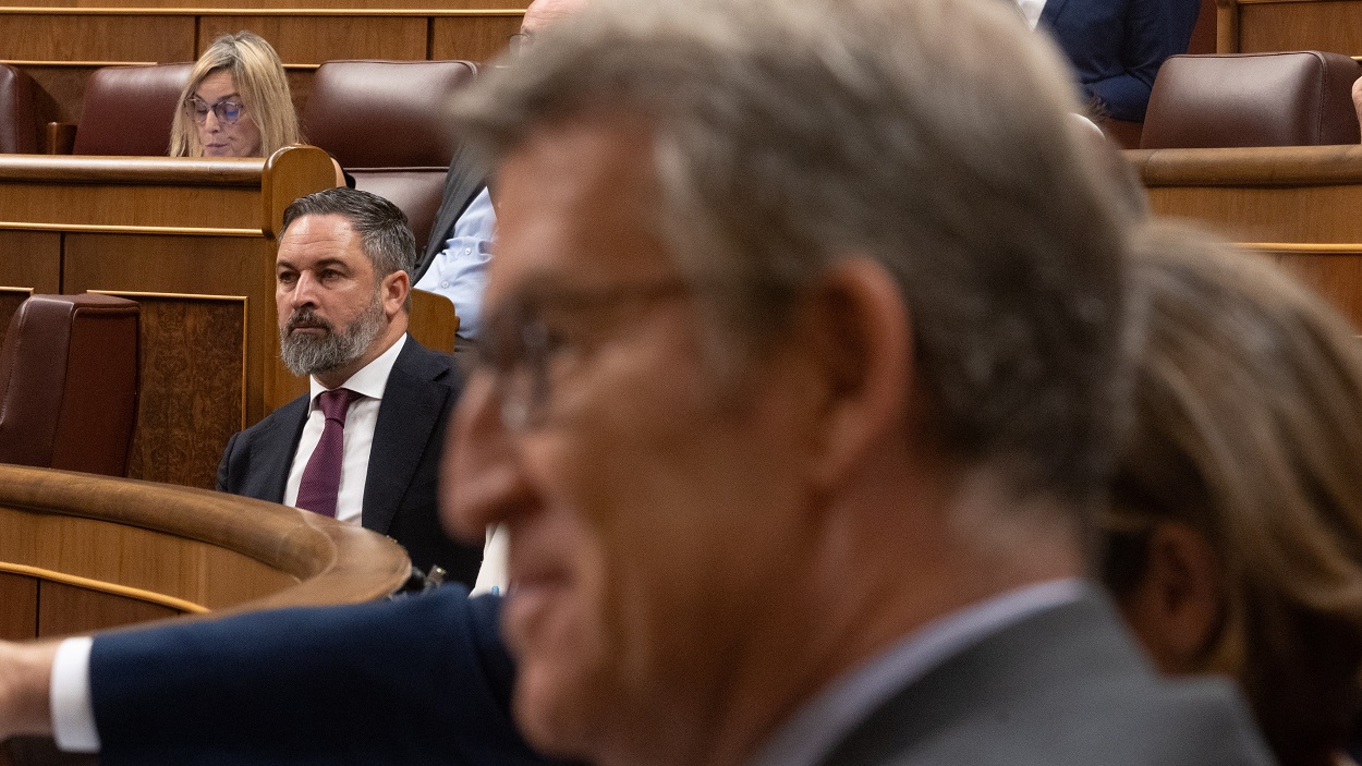 Abascal y Feijóo en el Congreso. EP