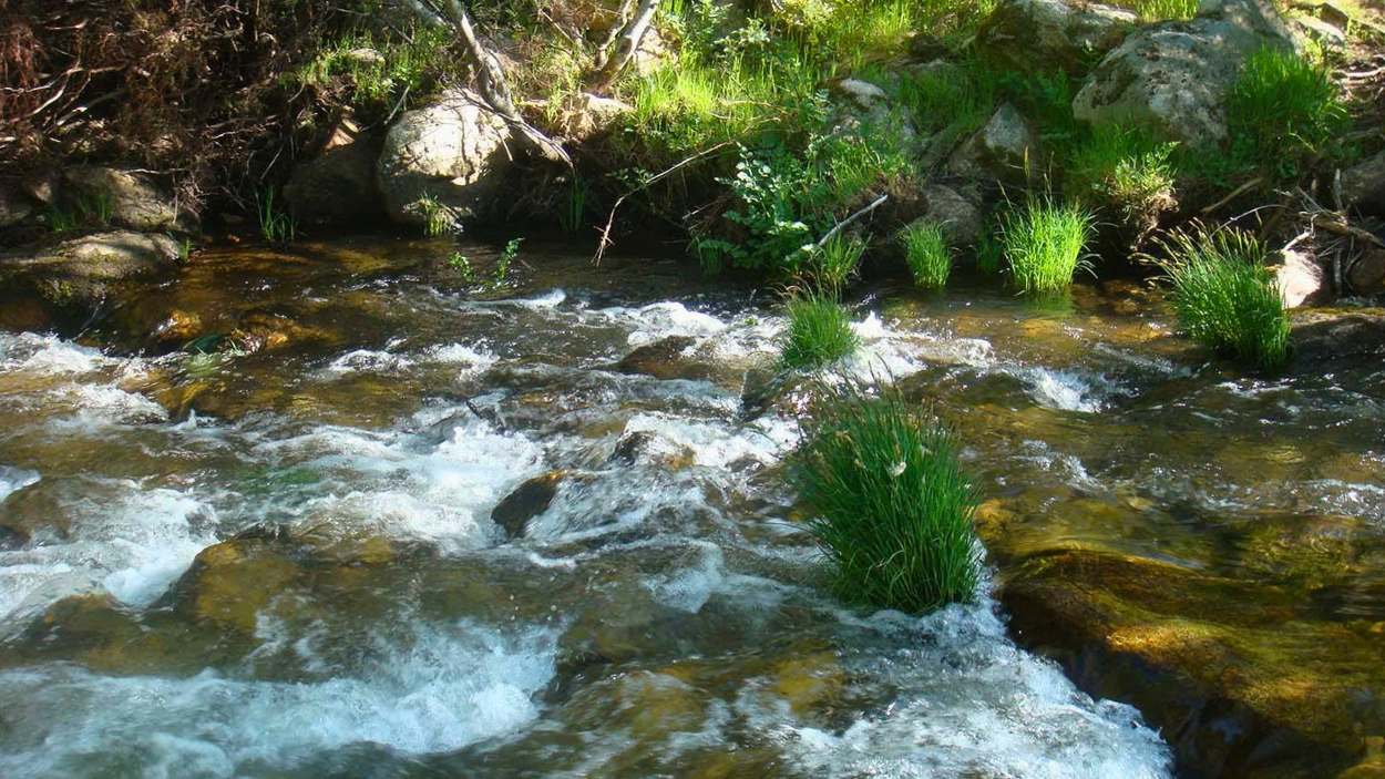 Horcajo de la Sierra, el pueblo medieval de la sierra madrileña con unas refrescantes pozas donde refugiarse del calor de la capital. Facebook de las áreas recreativas de La Alberca y La Tejera