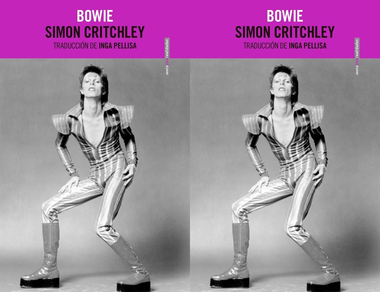 Pasión por David Bowie