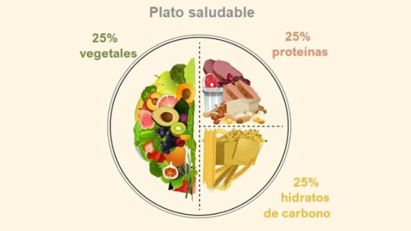 plao saludable harvard plao saludable harvard