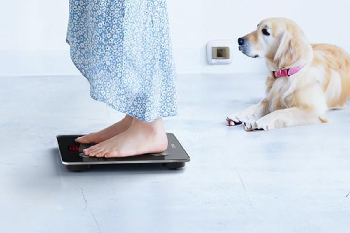 Báscula digital