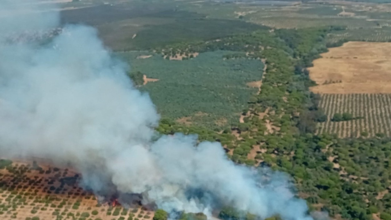 incendio de Almonte. EP