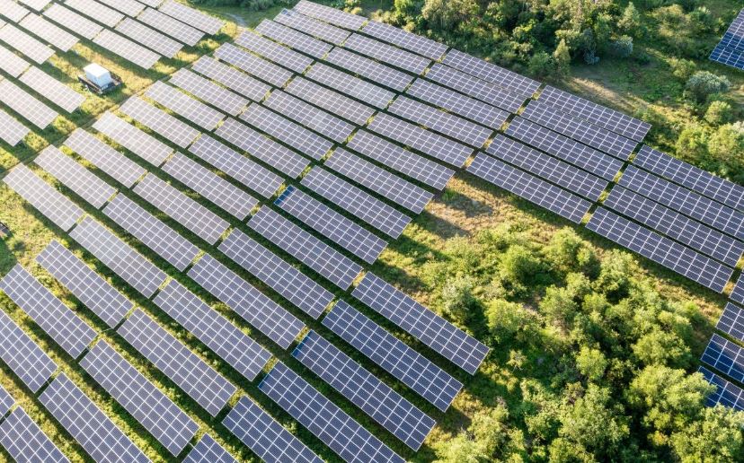 Paneles solares en un bosque. Servimedia