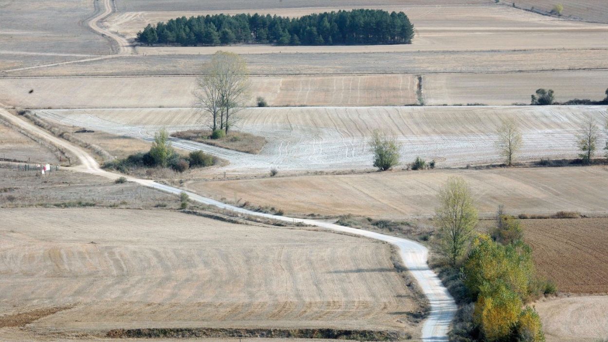 Foto de un camino rural en la provincia de Palencia. EP