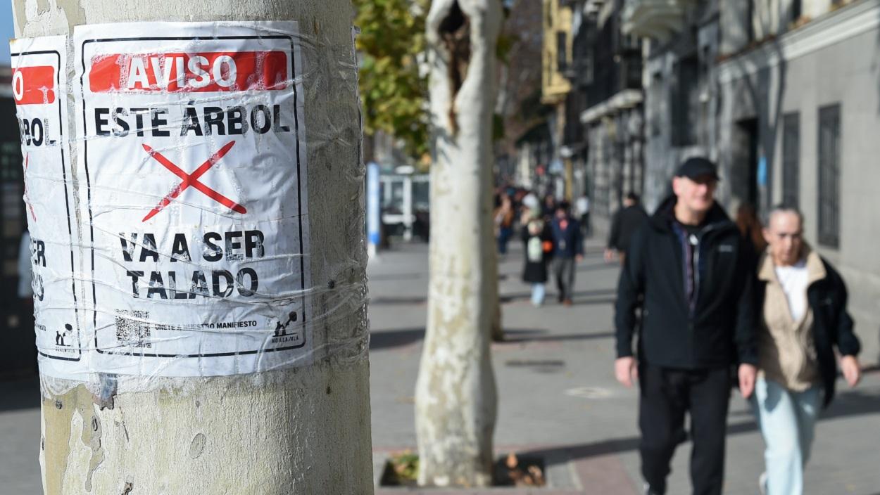 Protestas contra la tala de árboles