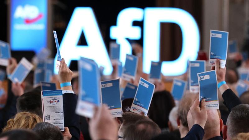 Imagen de archivo de un mitin de AfD, la ultraderecha alemana. EP