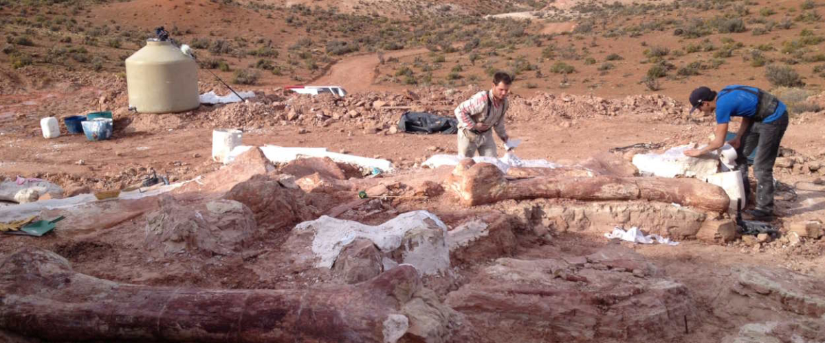Paleontólogos del MEF en el terreno donde se encontraron los fósiles del Patagotitan Mayorum. (Foto: MEF)